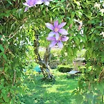La Source 3* Availles-Limouzine